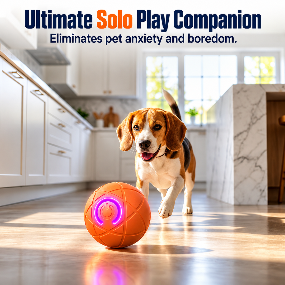 Auto-Bouncing Smart Pet Ball With Remote Control