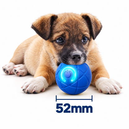 Auto-Bouncing Smart Pet Ball With Remote Control