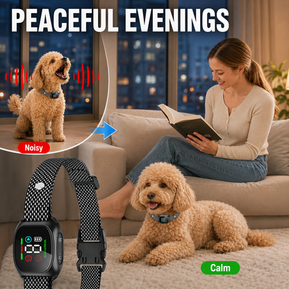 Anti Bark Collar – Smart anti‑false triggering filters out other barks